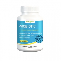 Probiotic Capsules-Intestinal digestion